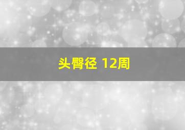 头臀径 12周